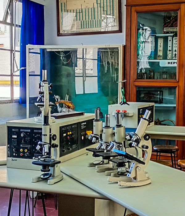 ESCUELA ARGENTINA MODELO
