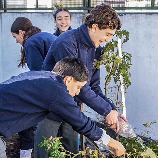 ESCUELA ARGENTINA MODELO